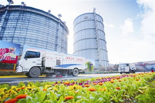 中國能源報(bào)